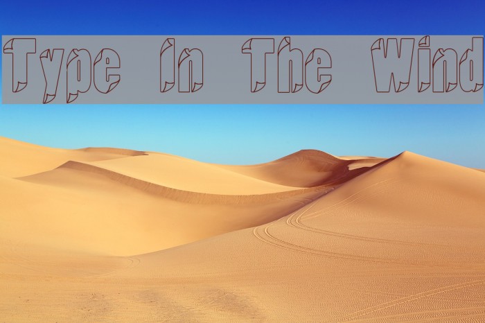 Type In The Wind Font examples