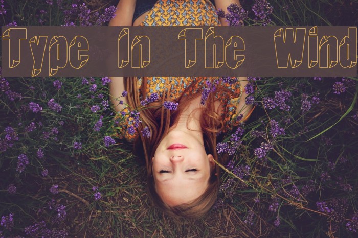 Type In The Wind Font examples