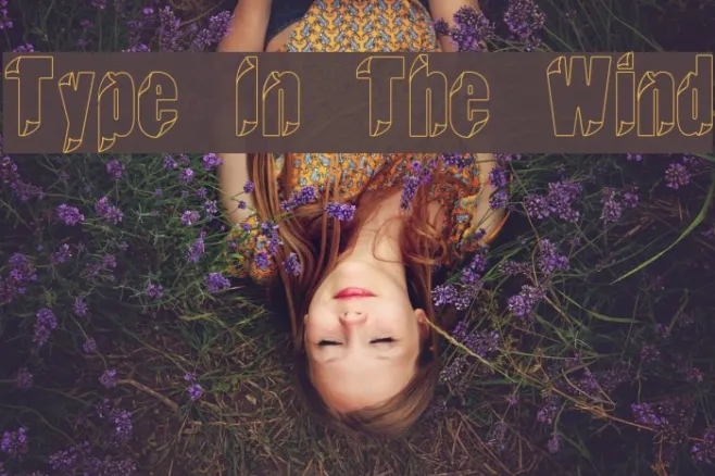 Type In The Wind Example 3