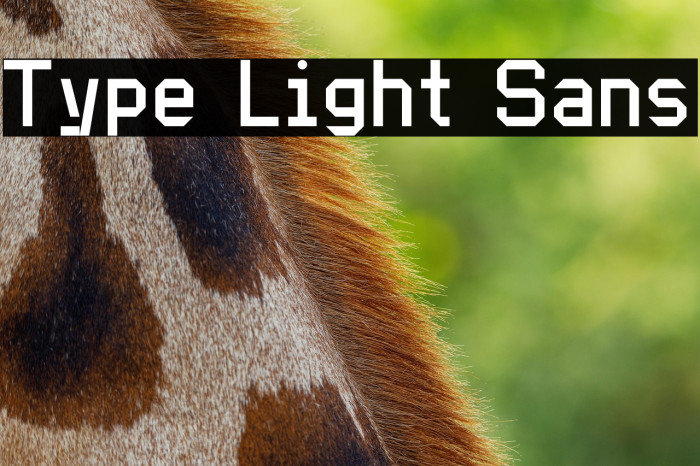 Type Light Sans Example 3