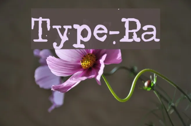 Type-Ra Example 1