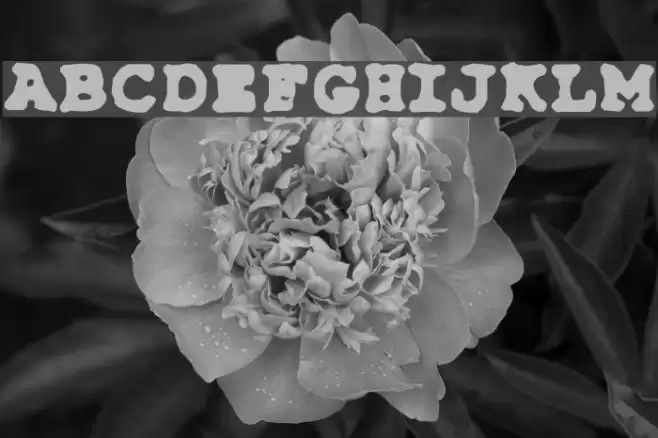 Type-Simple Fuentes examples