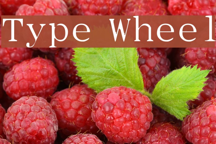Type Wheel Font examples