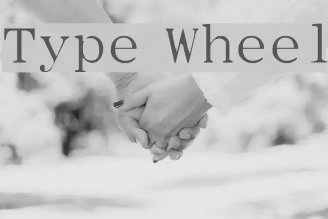 Type Wheel  examples