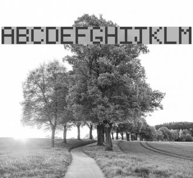 Type Writer Regular Font examples