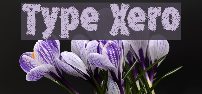 Type Xero Font examples
