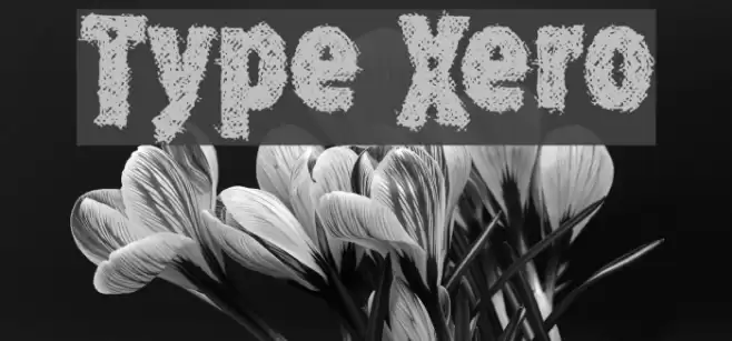 Type Xero フォント examples