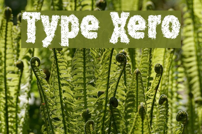 Type Xero Font examples