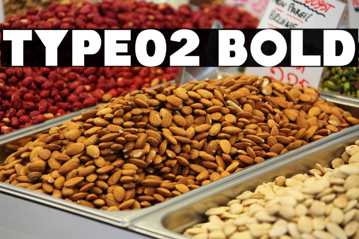 Type02 Bold Example 1