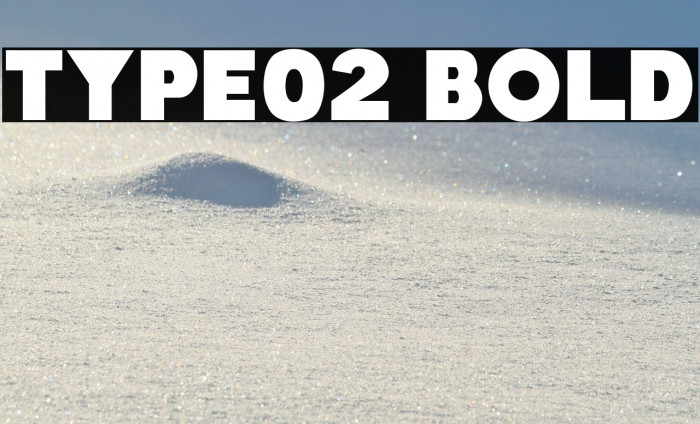 Type02 Bold Example 2