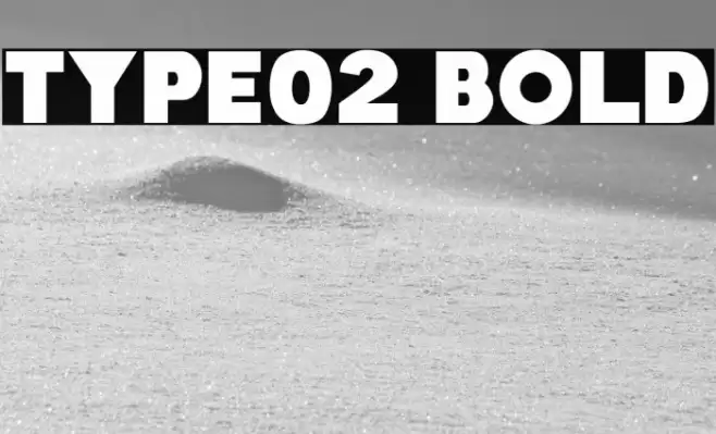 Type02 Bold Font examples