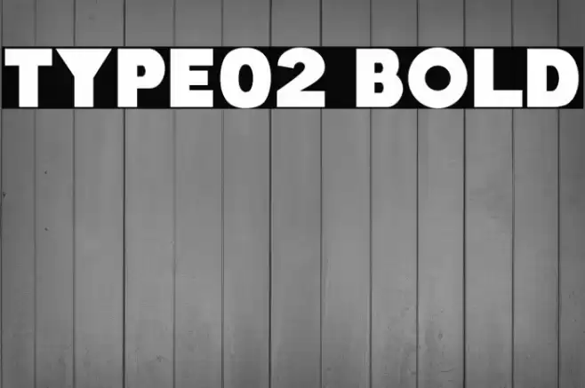 Type02 Bold Font examples