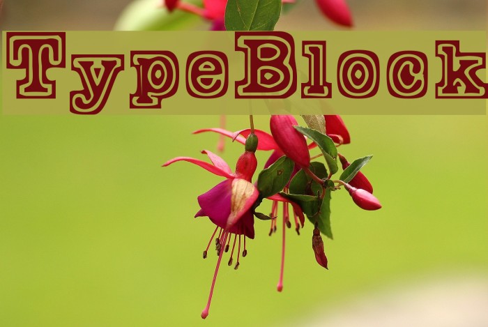 TypeBlock Font examples
