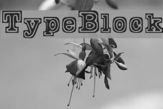TypeBlock Schriftart examples