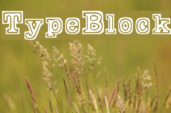 TypeBlock Font examples