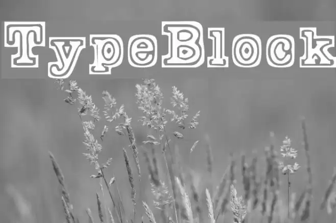 TypeBlock Schriftart examples