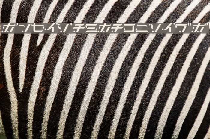 TypeCantabileKT Example 1