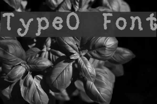 TypeO Font examples