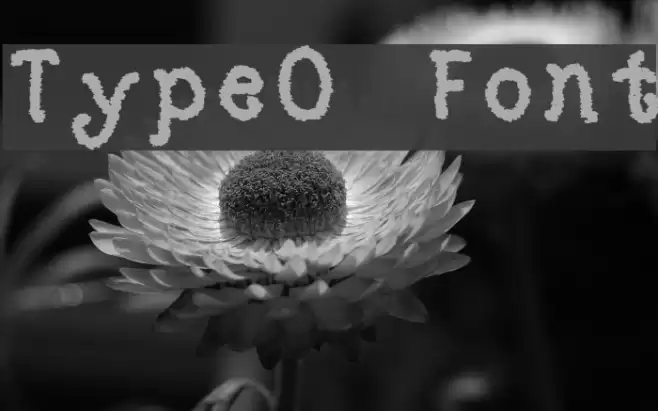 TypeO Font examples