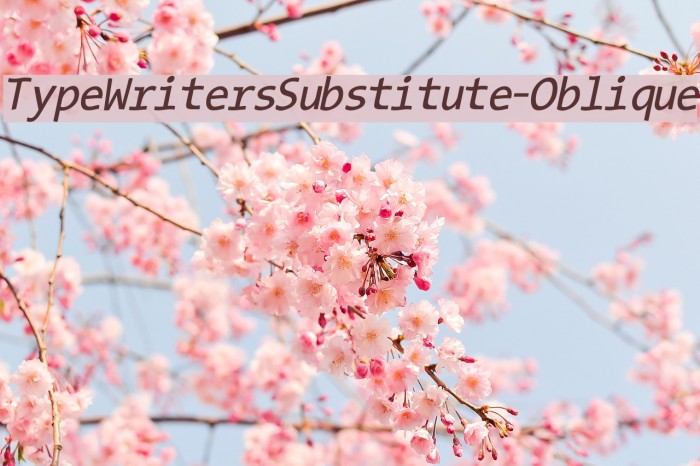 TypeWritersSubstitute-Oblique Font examples