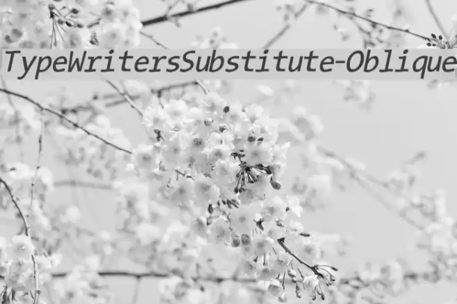 TypeWritersSubstitute-Oblique examples