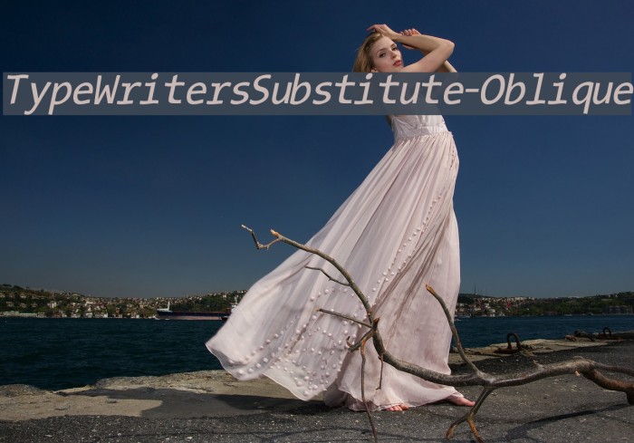 TypeWritersSubstitute-Oblique Font examples