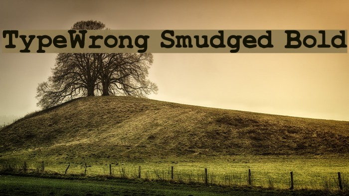 TypeWrong Smudged Bold Font examples