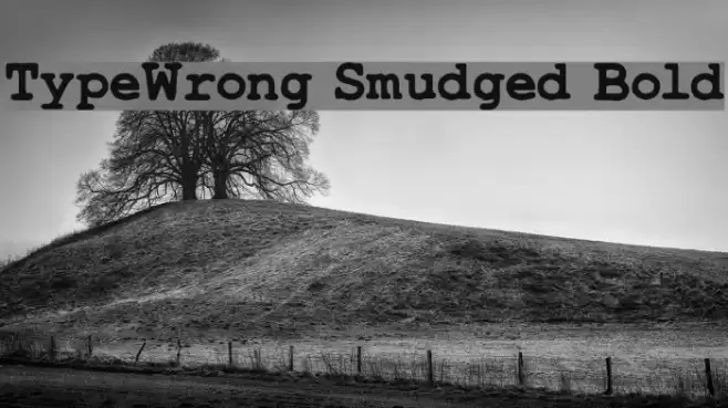 TypeWrong Smudged Bold Polices examples