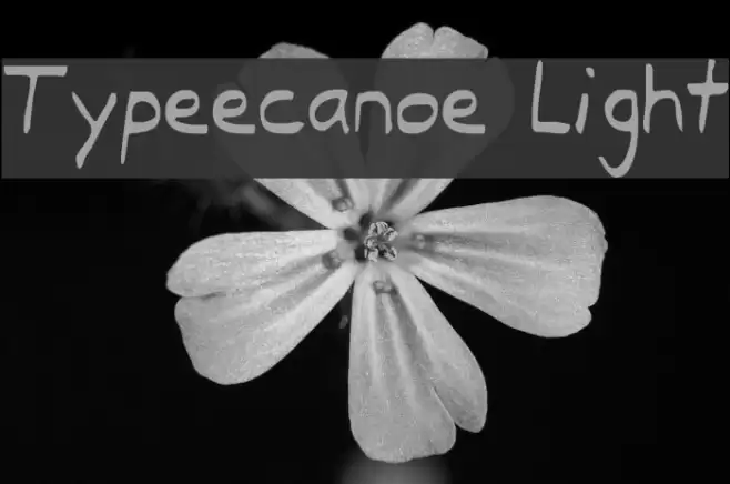 Typeecanoe Light Font examples