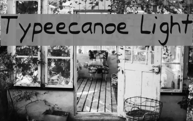Typeecanoe Light Font examples