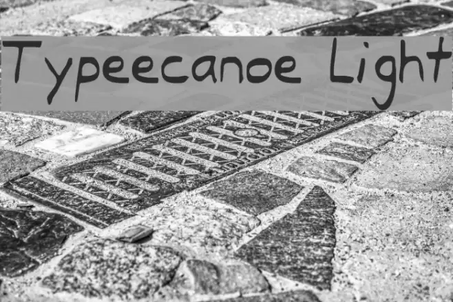 Typeecanoe Light Font examples