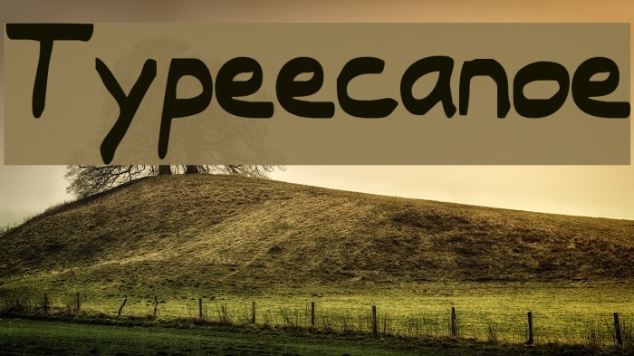 Typeecanoe Font examples