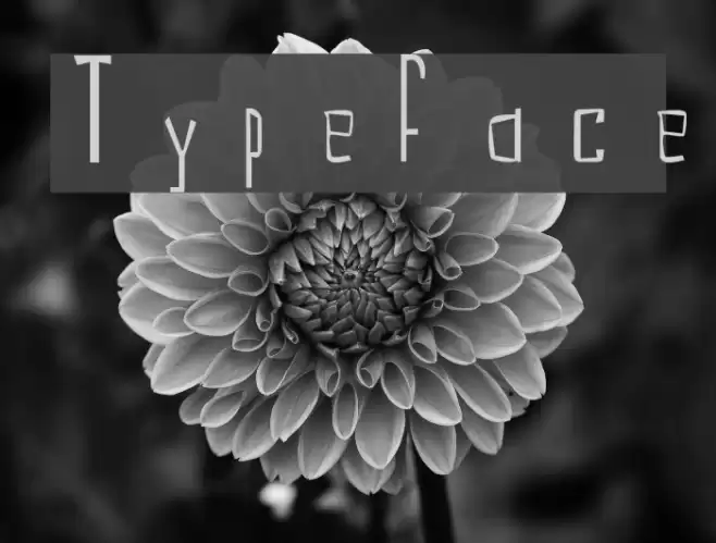Typeface Schriftart examples