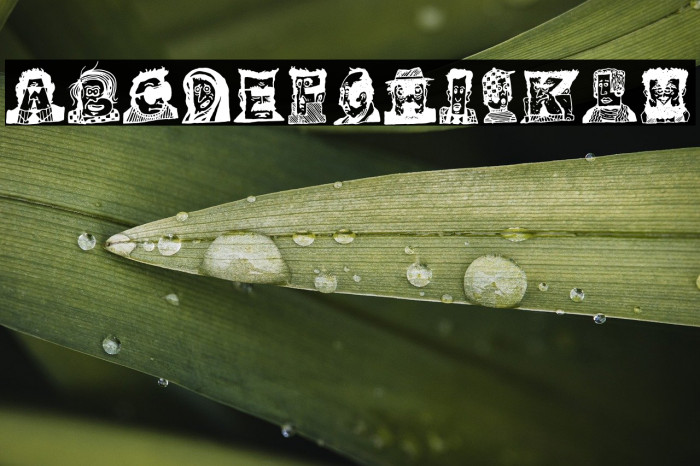 Typefaces 1 Example 3