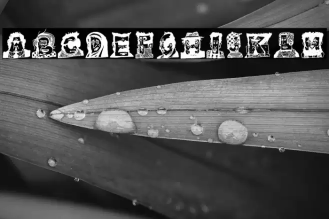 Typefaces 1 字体 examples