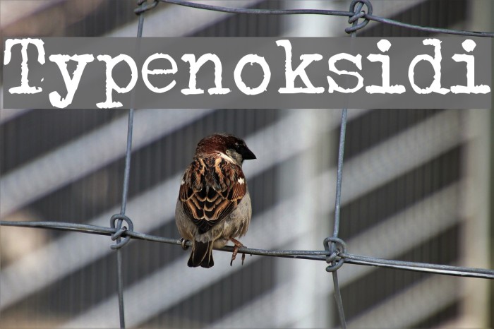 Typenoksidi Font examples