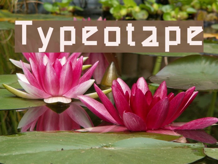 Typeotape Font examples