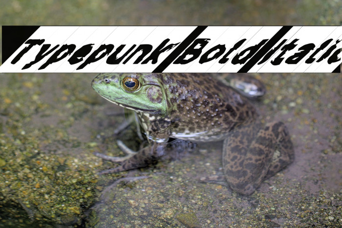 Typepunk Bold Italic Example 1