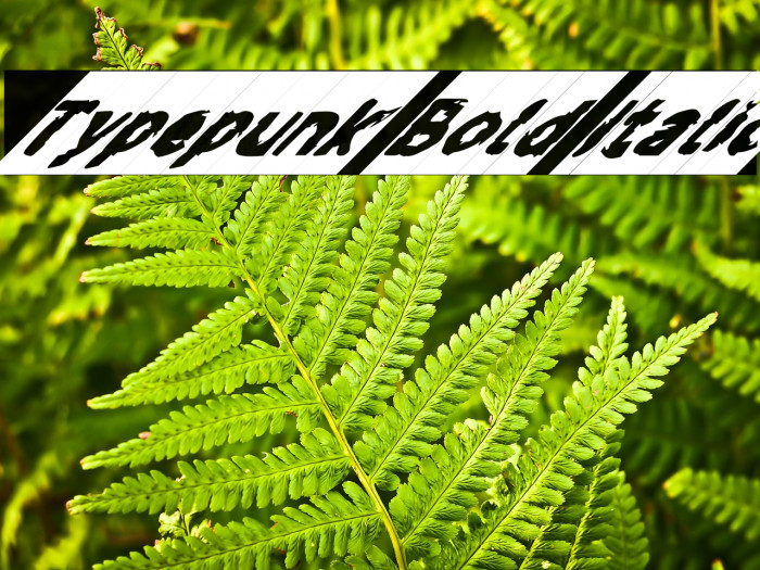 Typepunk Bold Italic Example 3