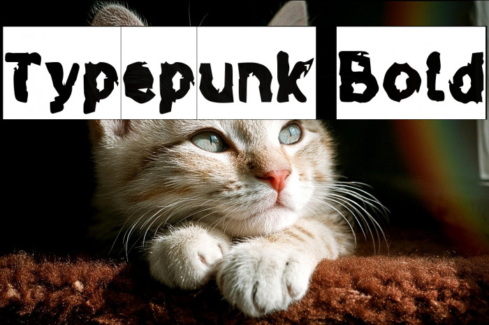 Typepunk Bold Example 1