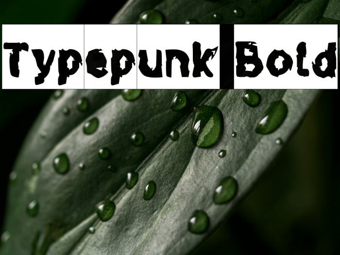 Typepunk Bold Example 2