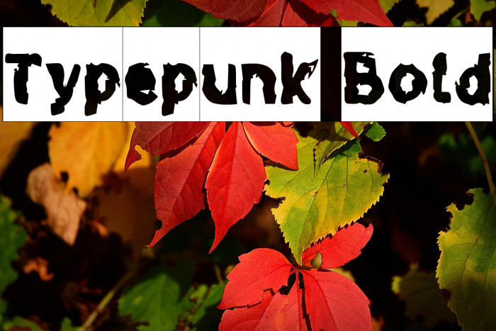 Typepunk Bold Example 3