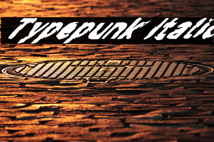 Typepunk Italic Example 1