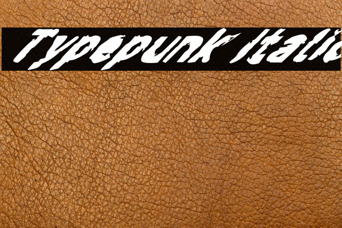 Typepunk Italic Example 3