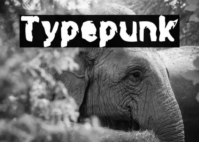 Typepunk Font examples