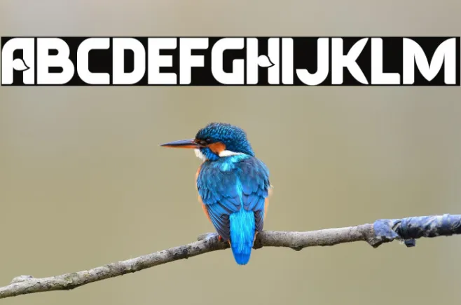 Typesauce Example 2