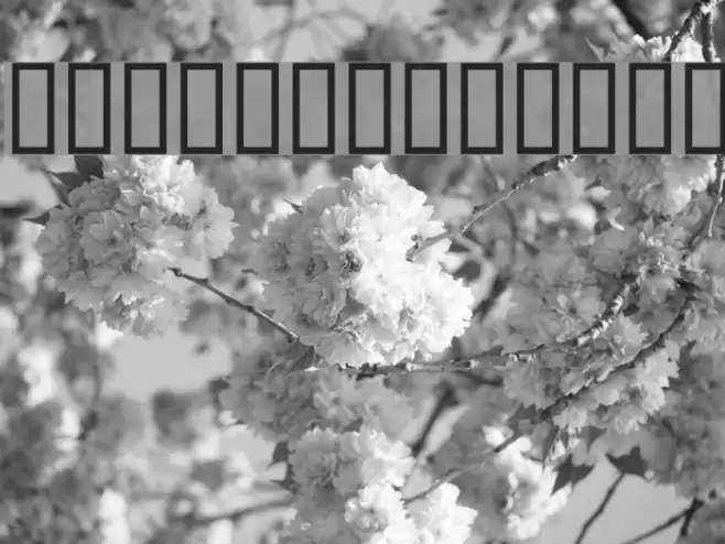 TypesettersTV Caratteri examples