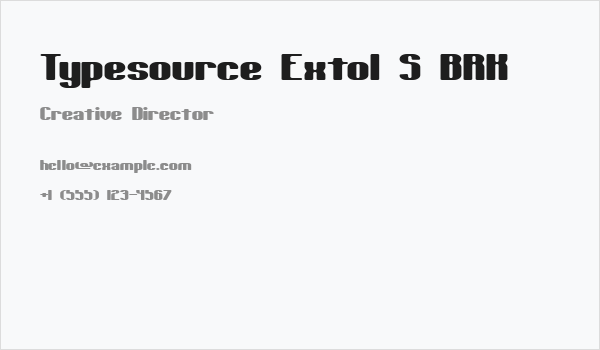 Typesource Extol S BRK Business Card