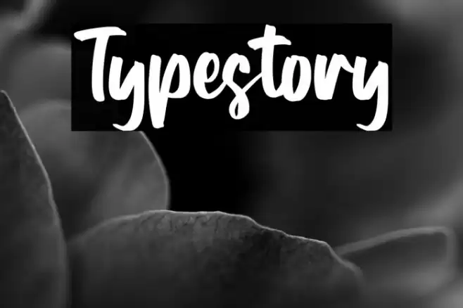 Typestory Font examples