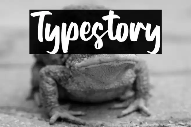Typestory Font examples